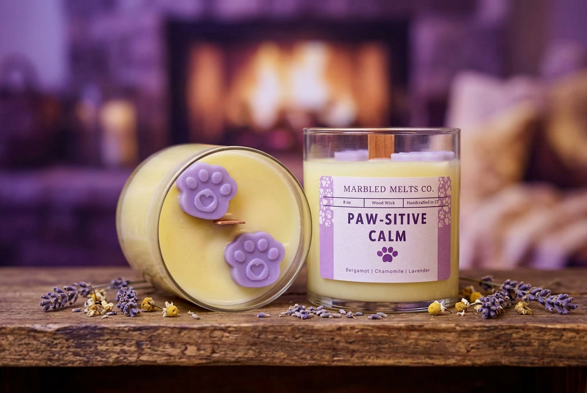 Paw-Sitive Calm